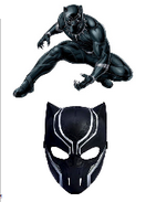 Kit Black Panther
