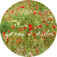 Disque azyme coquelicots