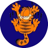 Disque d azyme Garfield