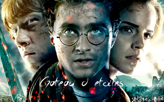 Plaque azyme Harry Potter