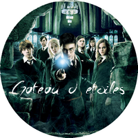 Disque azyme Harry Potter