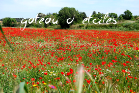 Plaque azyme fleur coquelicots