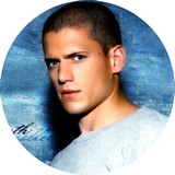 Disque d azyme Wentworth Miller